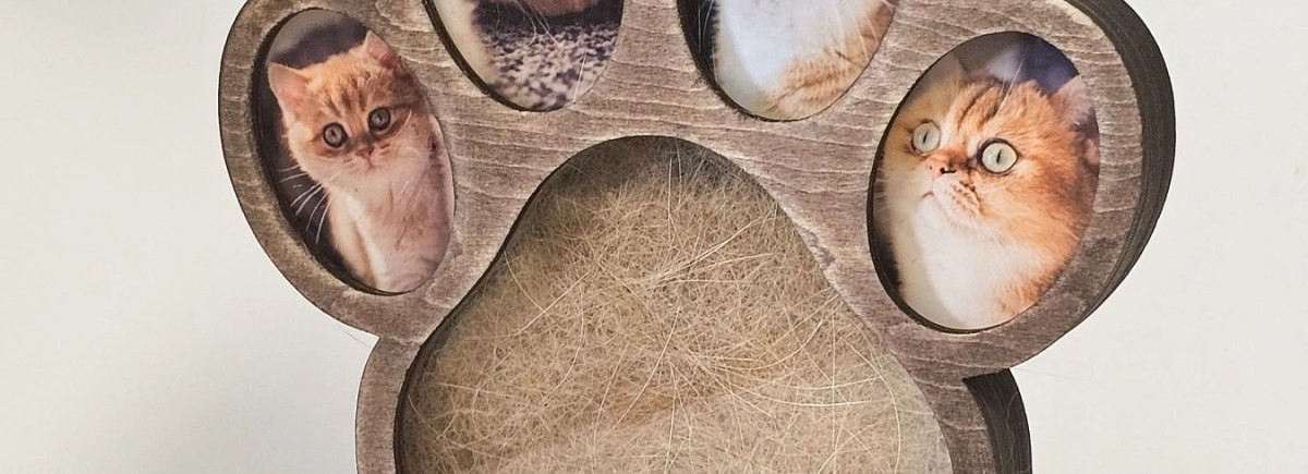 Patte de souvenir