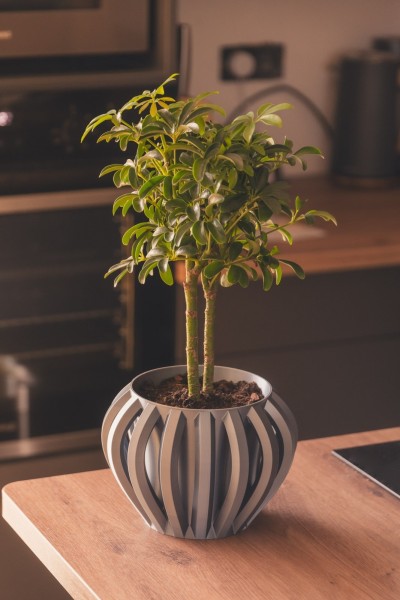 POT DE FLEURS AURA